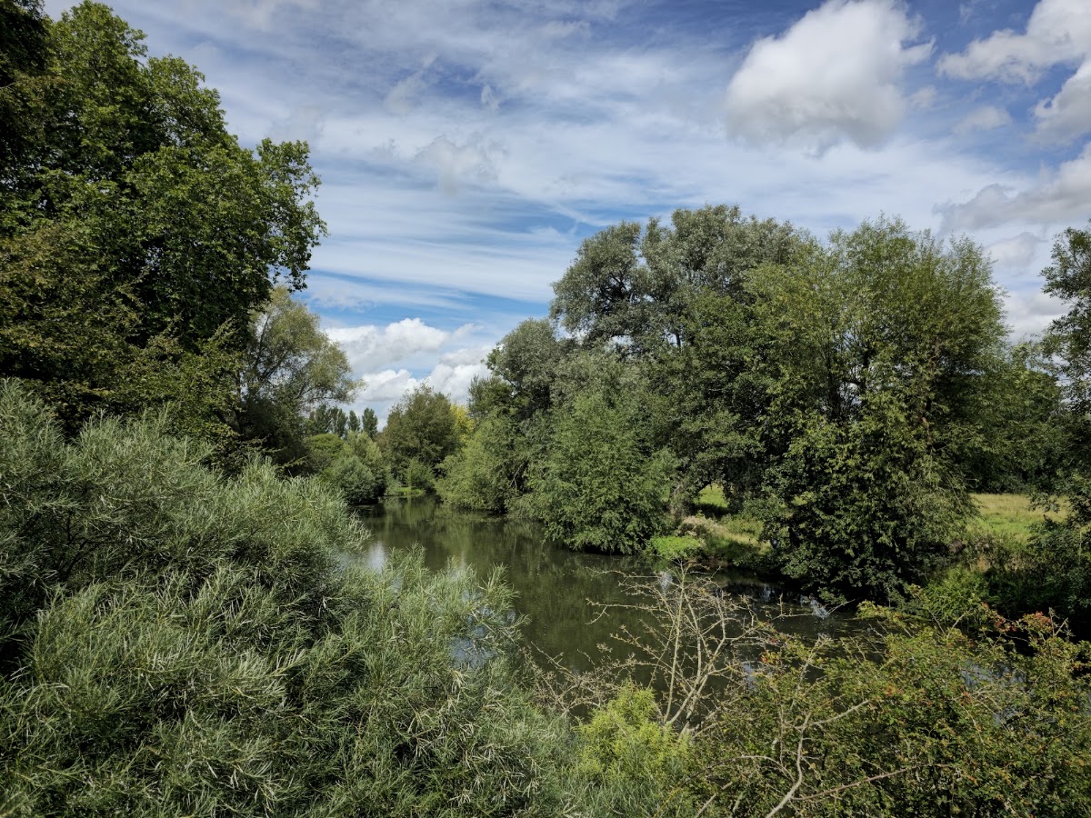The University Parks - Photo 2