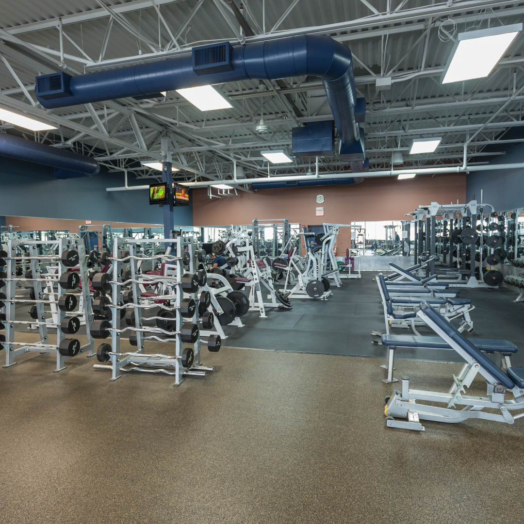 The Workout Club of Manchester - Photo 2
