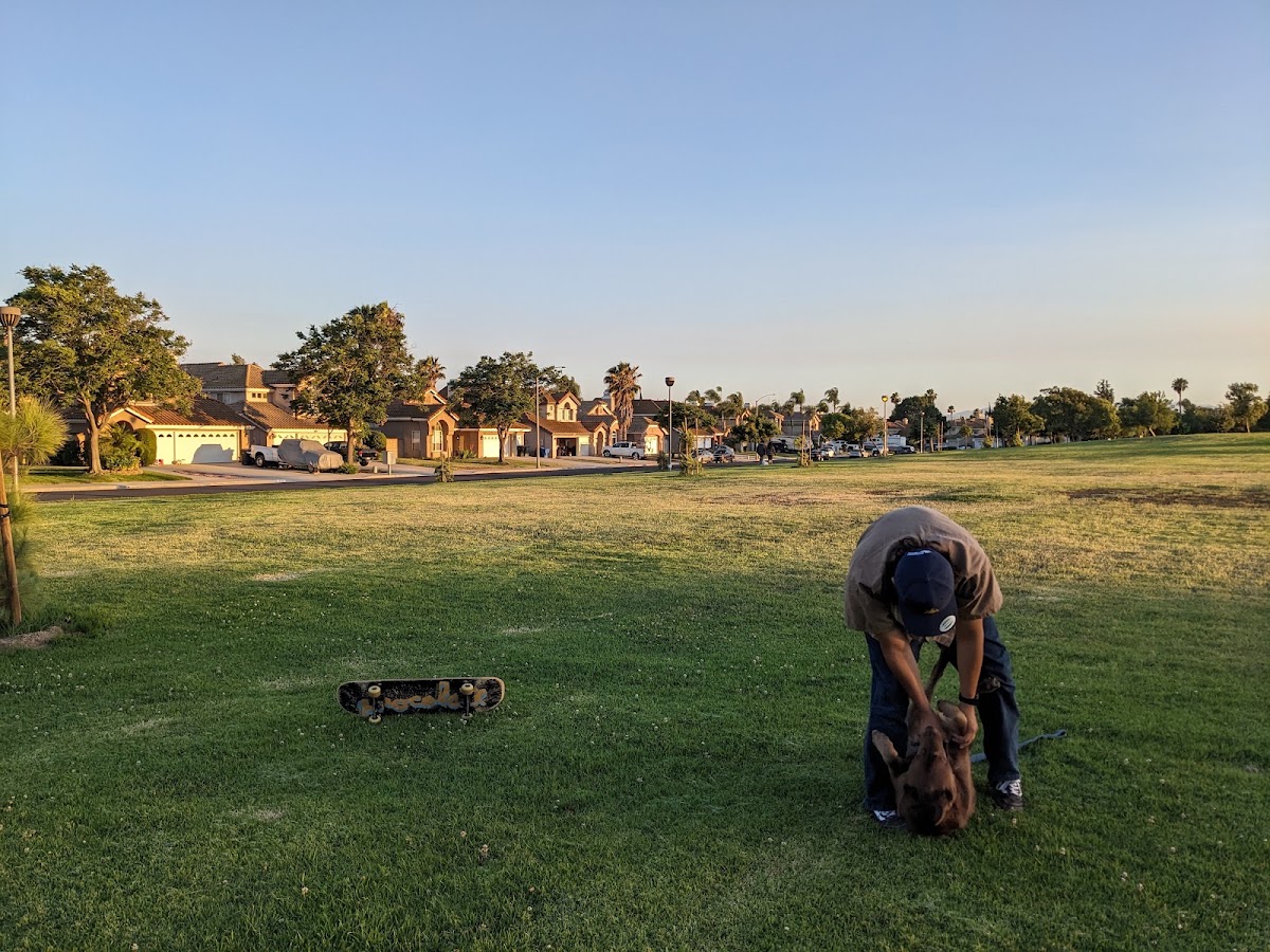 Thundersky Park - Photo 3