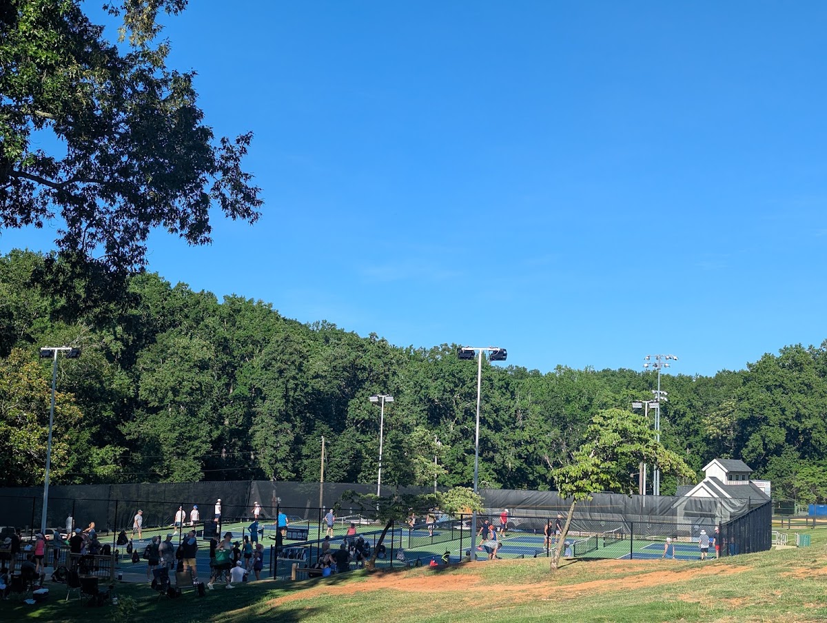 Timmons Park Pickleball Courts - Photo 3