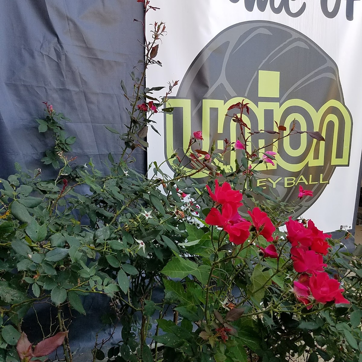 Top Gun Tennis Academy - Photo 1