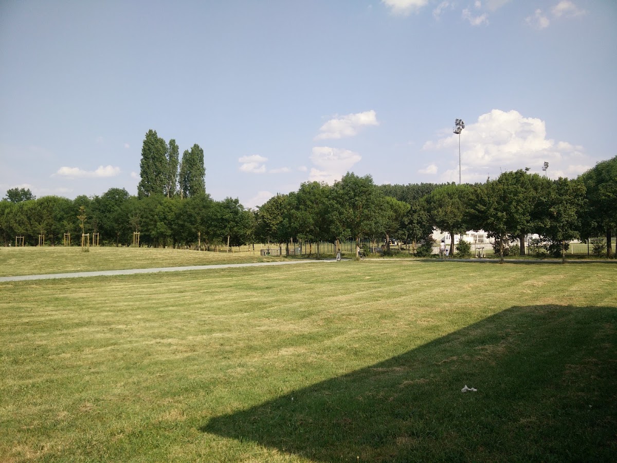 Toulouse Métropole Football Club - Photo 3