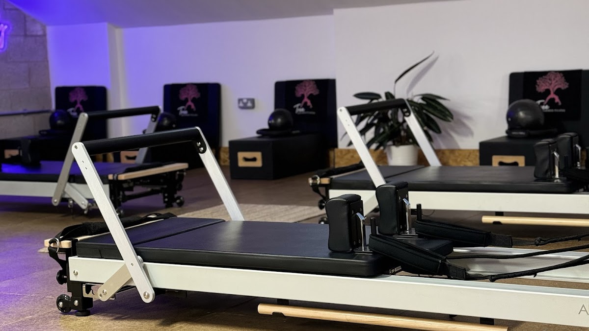 Tree Pilates Studio