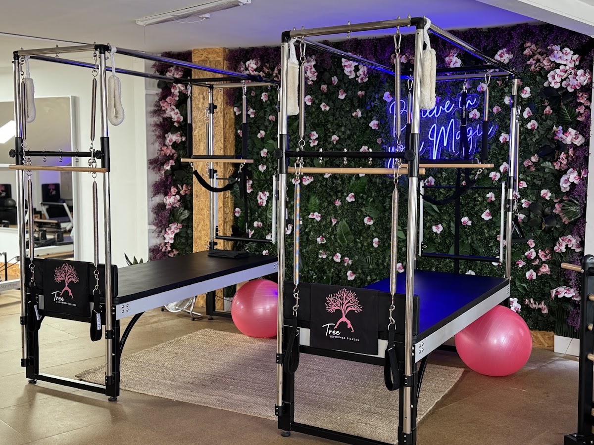 Tree Pilates Studio - Photo 2