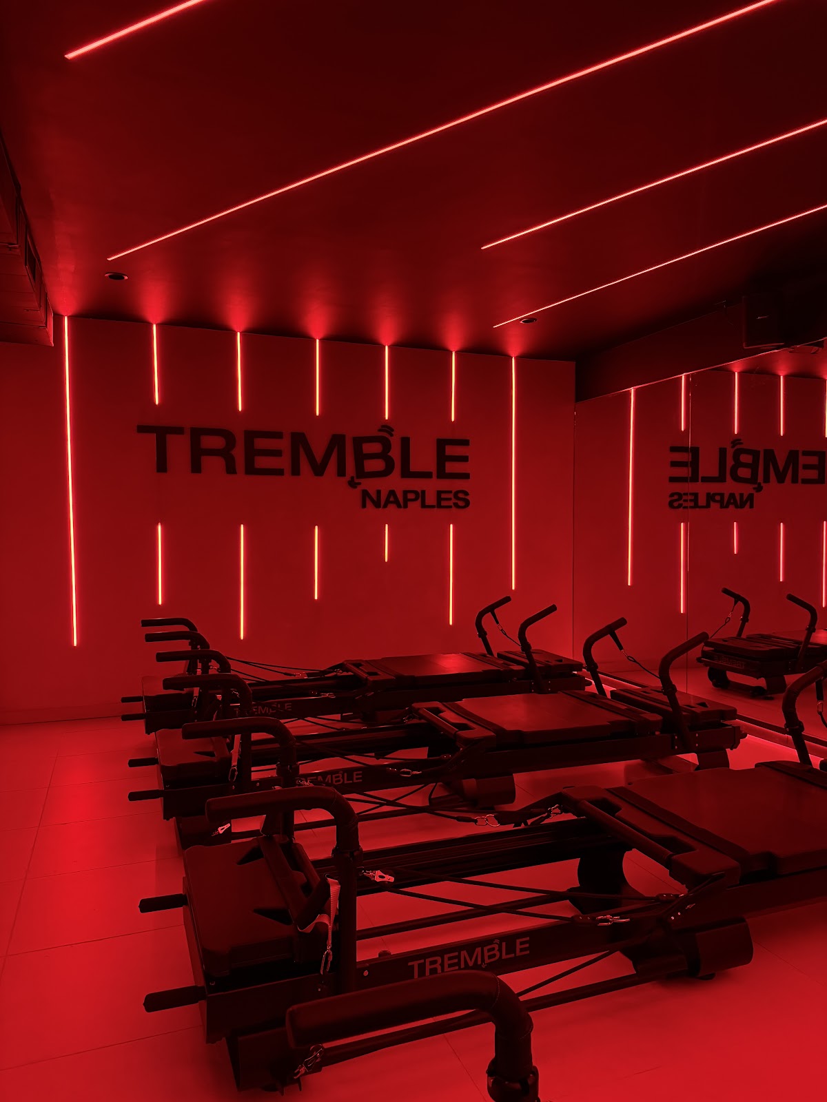TREMBLE - Photo 2