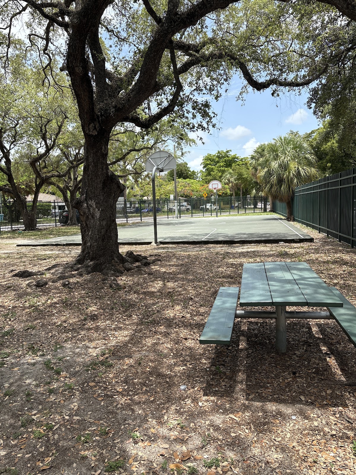 Triangle Park - Photo 1
