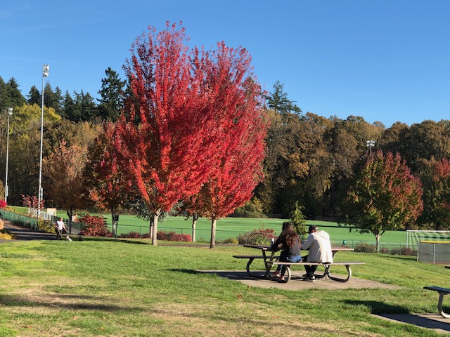 Tualatin Hills Park & Recreation District - Photo 2