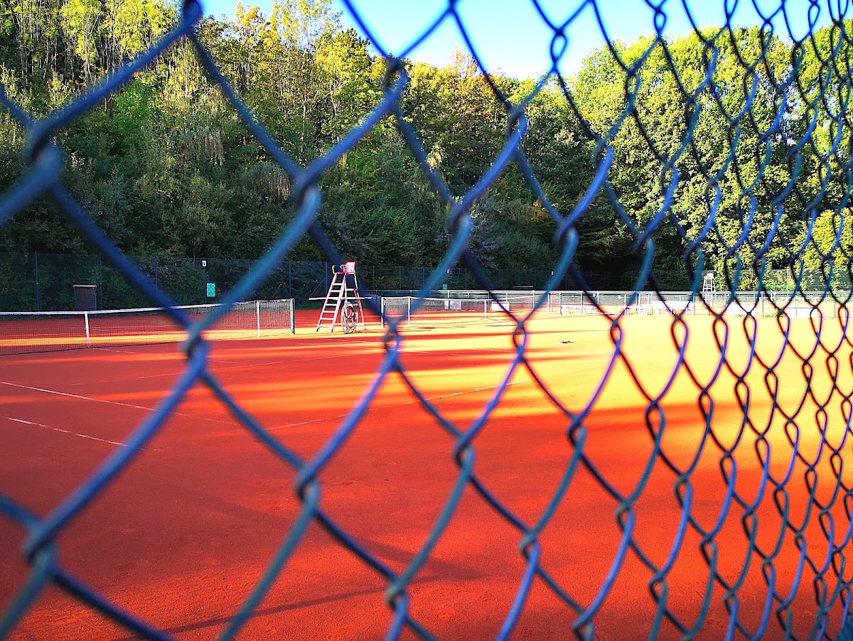 TuS Eintracht Bielefeld e.V. Tennis - Photo 3
