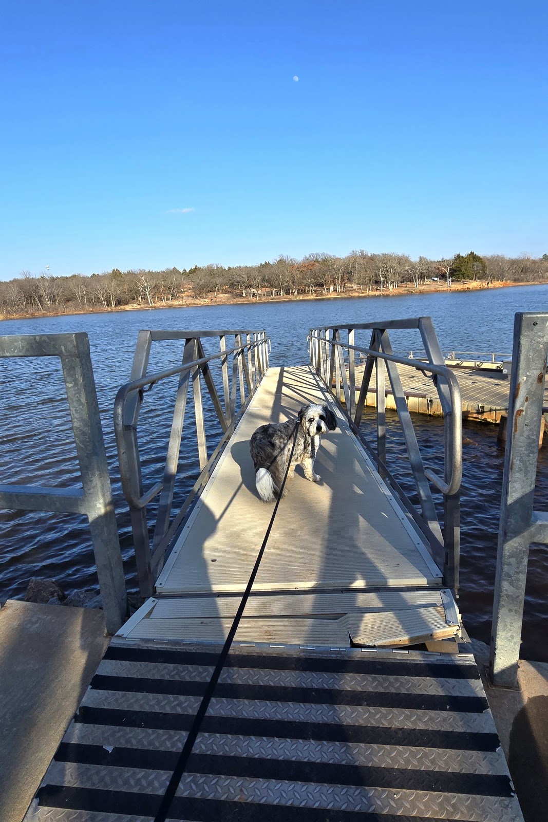 UCO Boathouse at Arcadia Lake - Photo 2