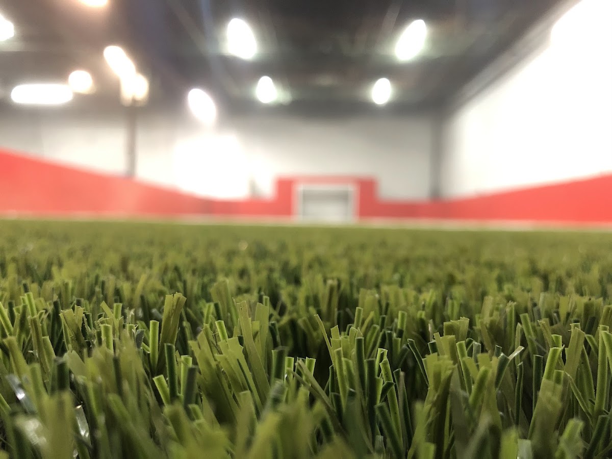 UNIVERSAL SOCCER ARENA - Photo 3