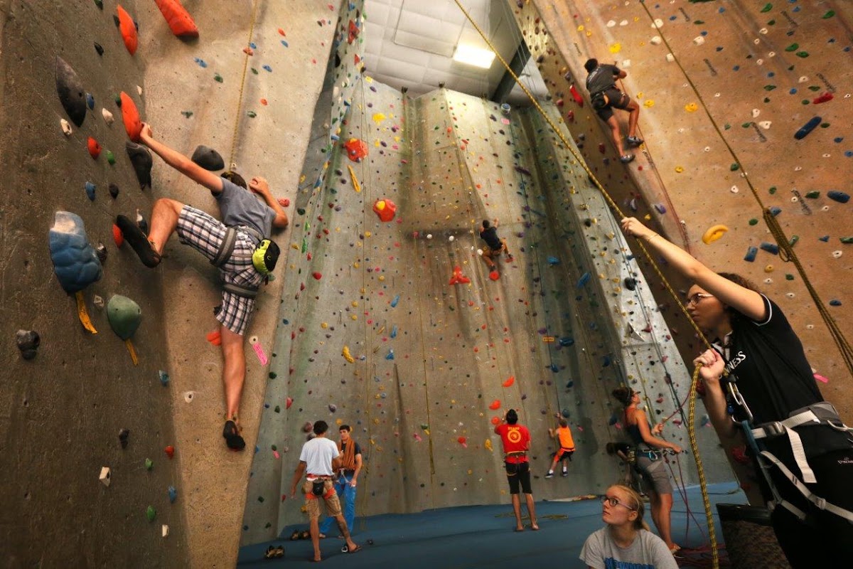Upper Limits Rock Climbing Gym - Maryland Heights - Photo 3