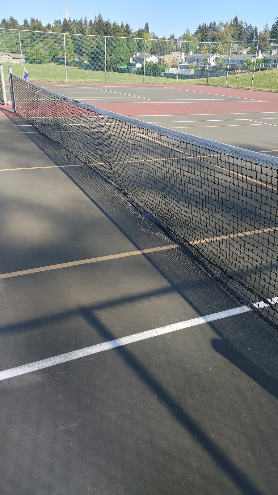 Vassault Park Pickleball and Tennis Courts - Photo 2