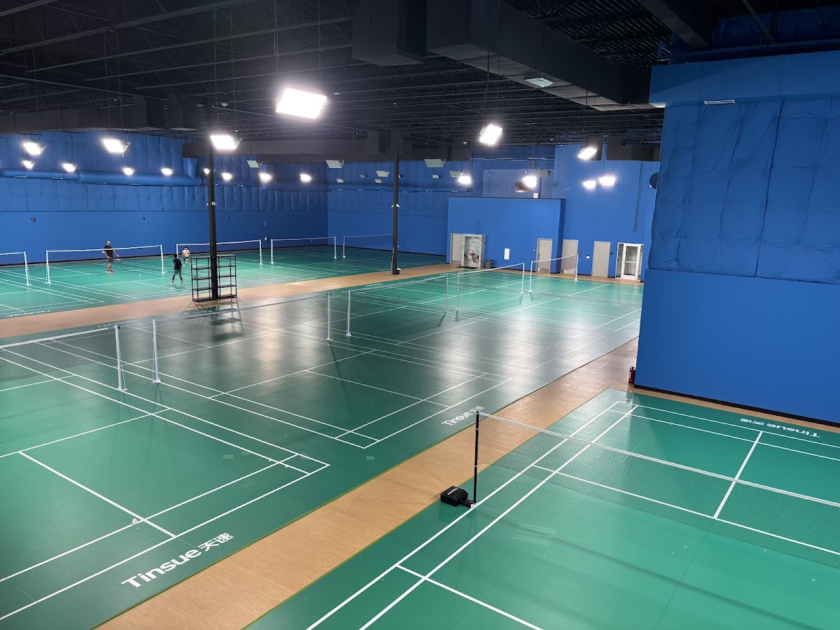 Velocity Badminton