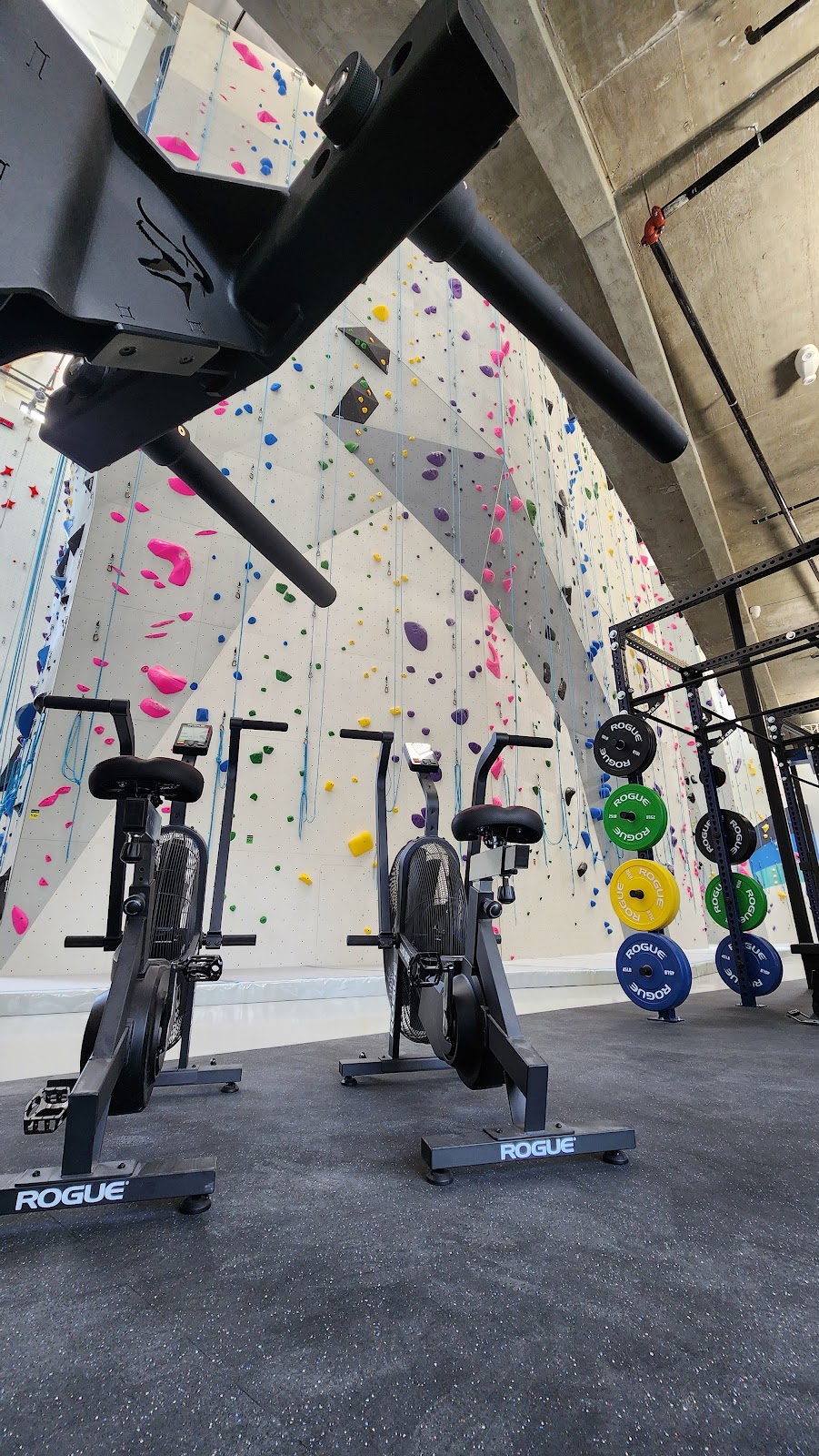 Velocity Climbing - Photo 3