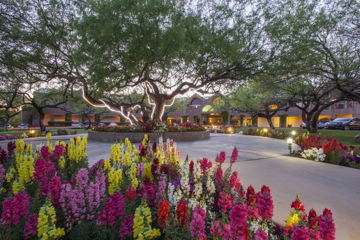 Ventana Canyon Golf & Racquet Club - Photo 3
