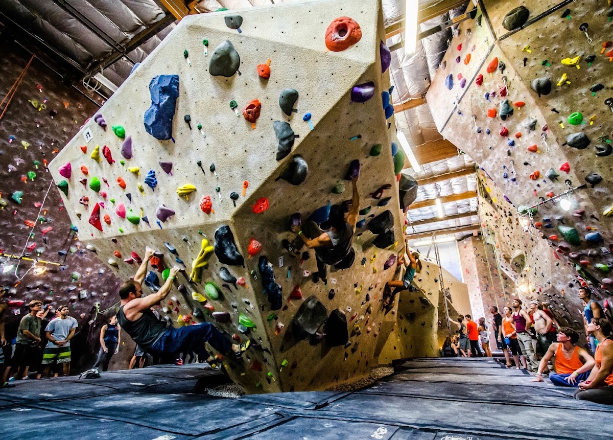 Vertical Hold - Photo 1