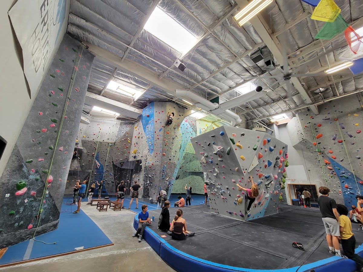 Vertical Hold - Photo 2