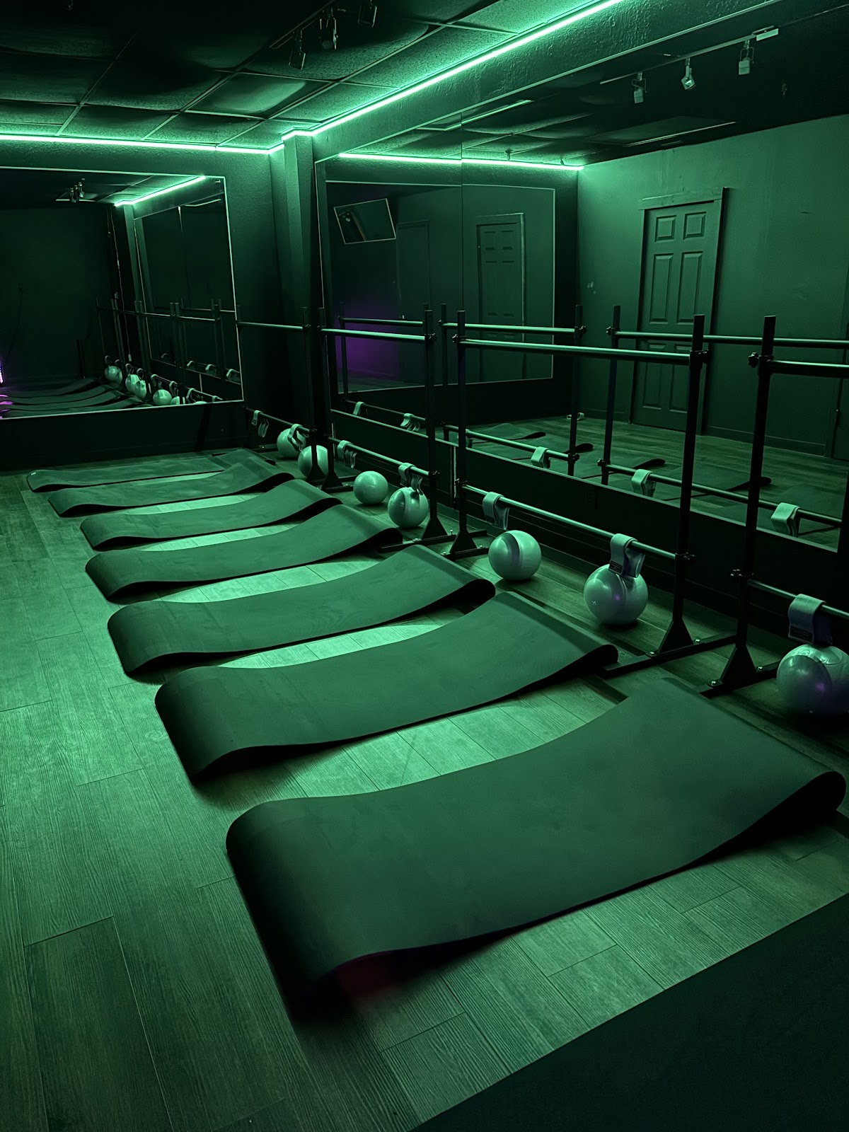 Vibe & Pointe Barre - Photo 1