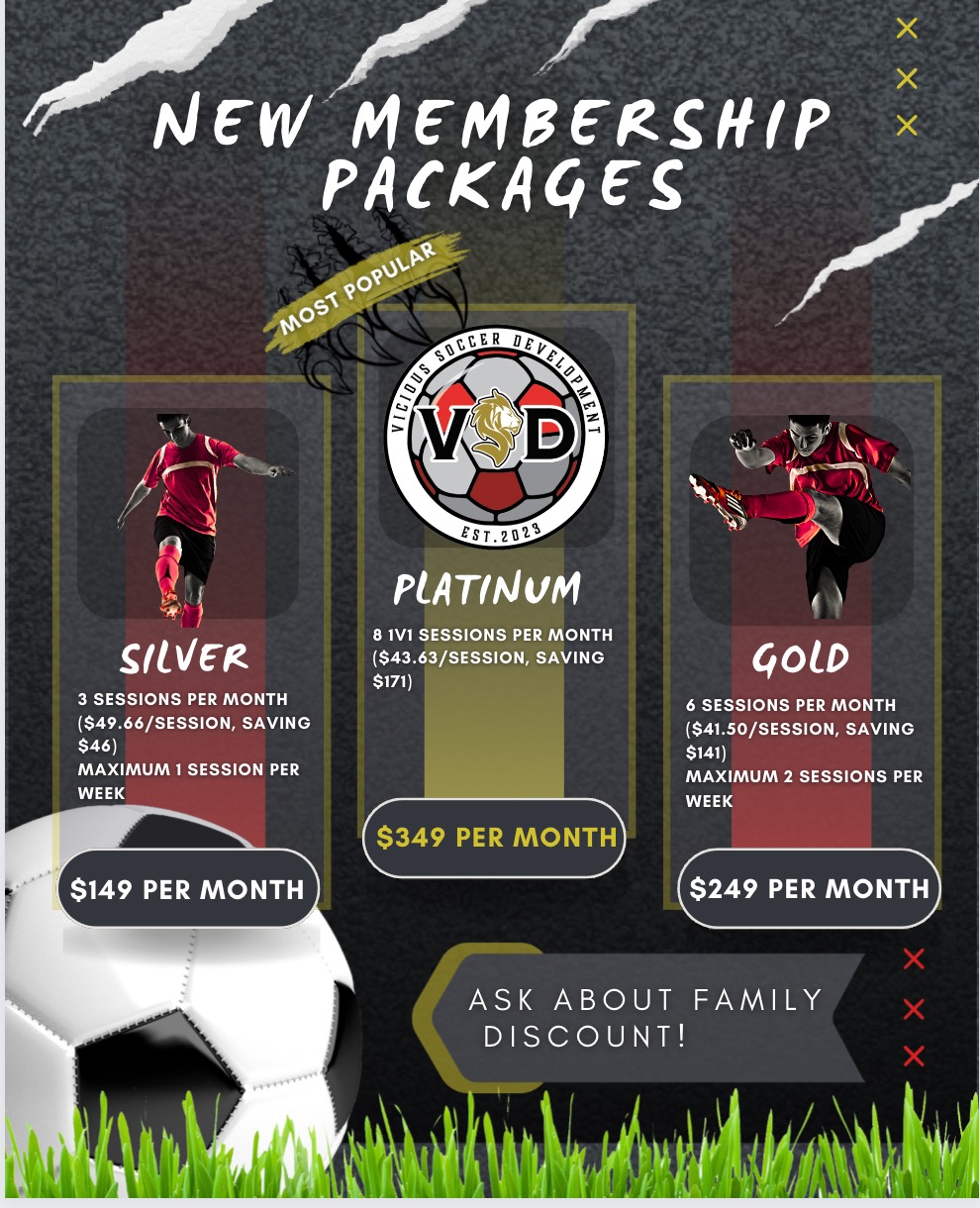 Vicious Soccer Development - Photo 3