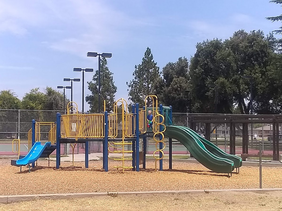 Vinland Park - Photo 3