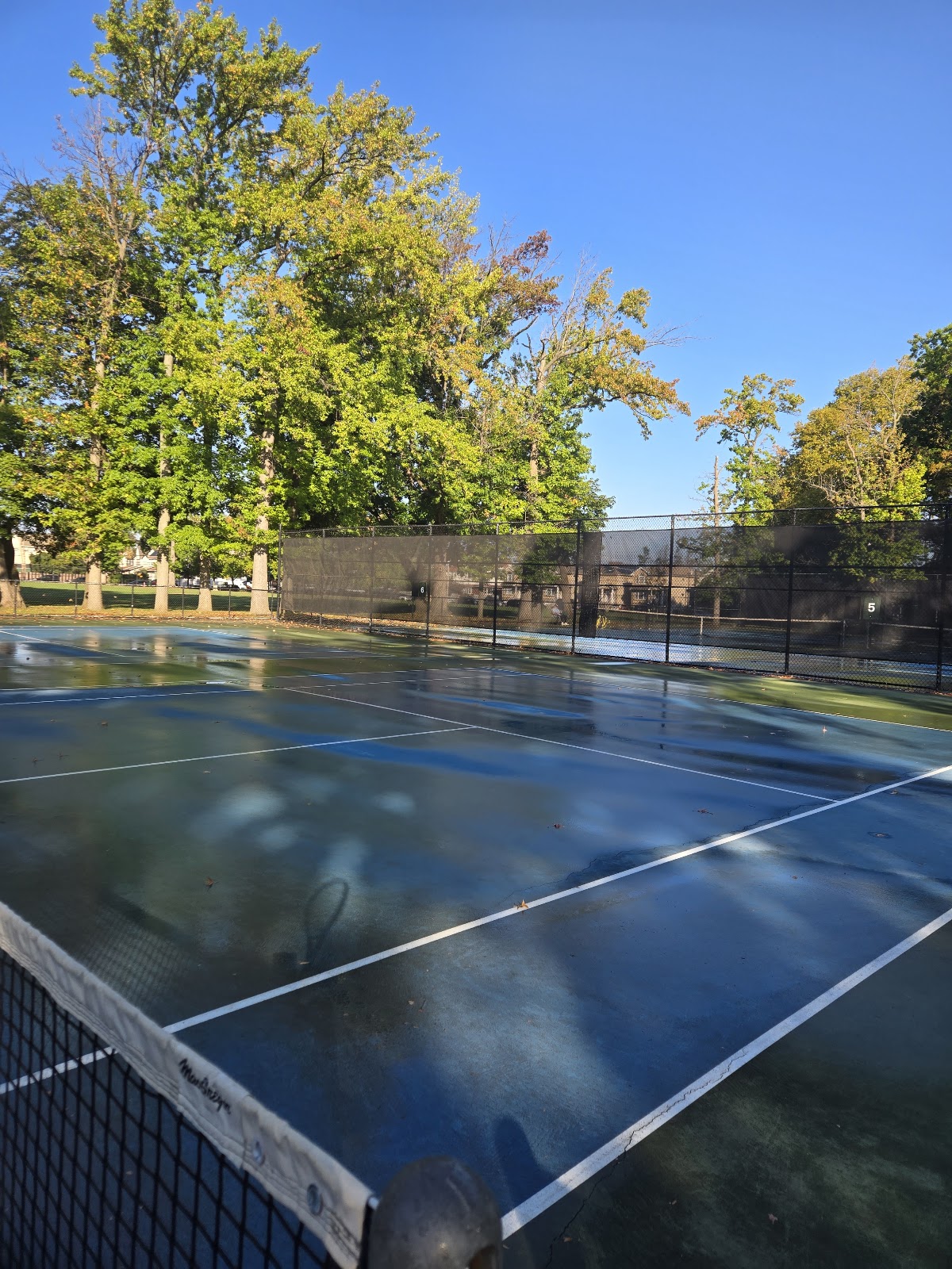 Walker Park - Photo 2