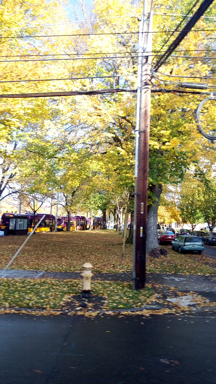 Wallace Field - Photo 2