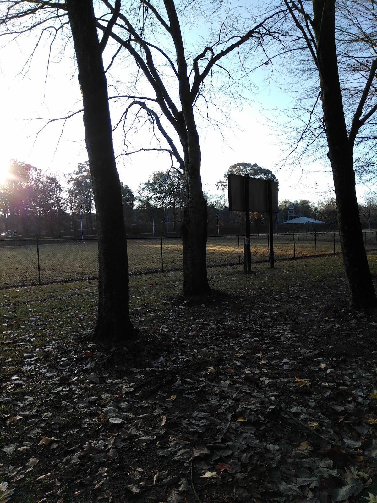 Washington Park Racquet Center - Photo 3