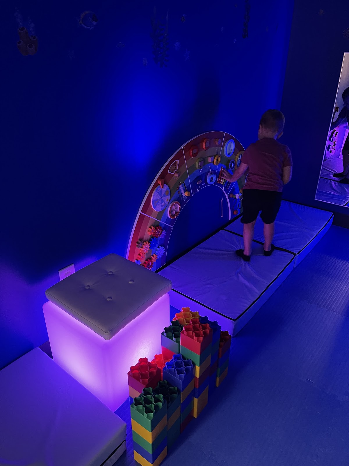 We Rock The Spectrum - Palm Beach - Photo 3