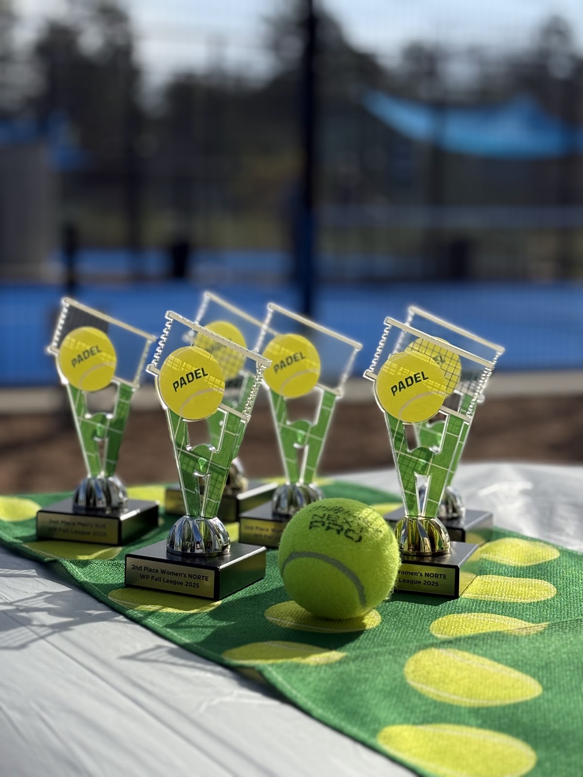 WePadel - Photo 3