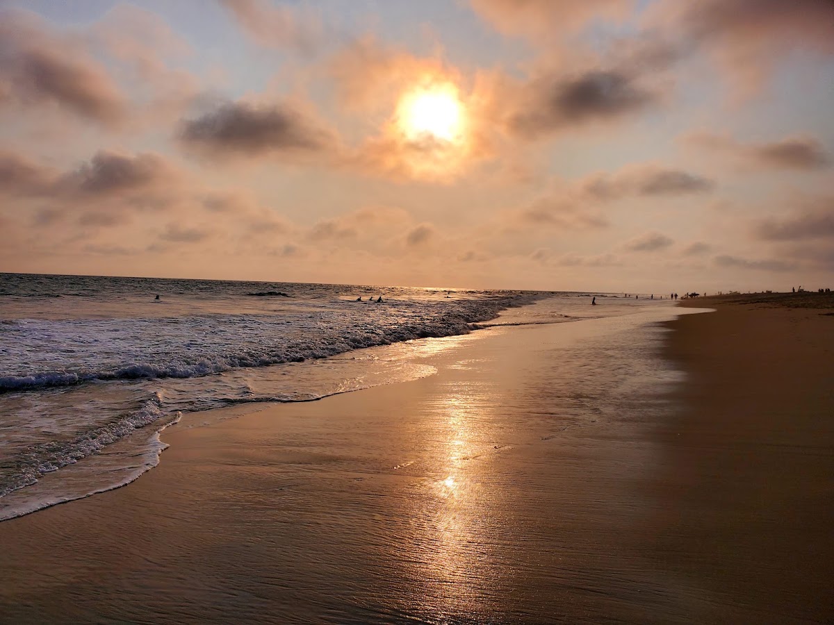 West Newport Park - Photo 2