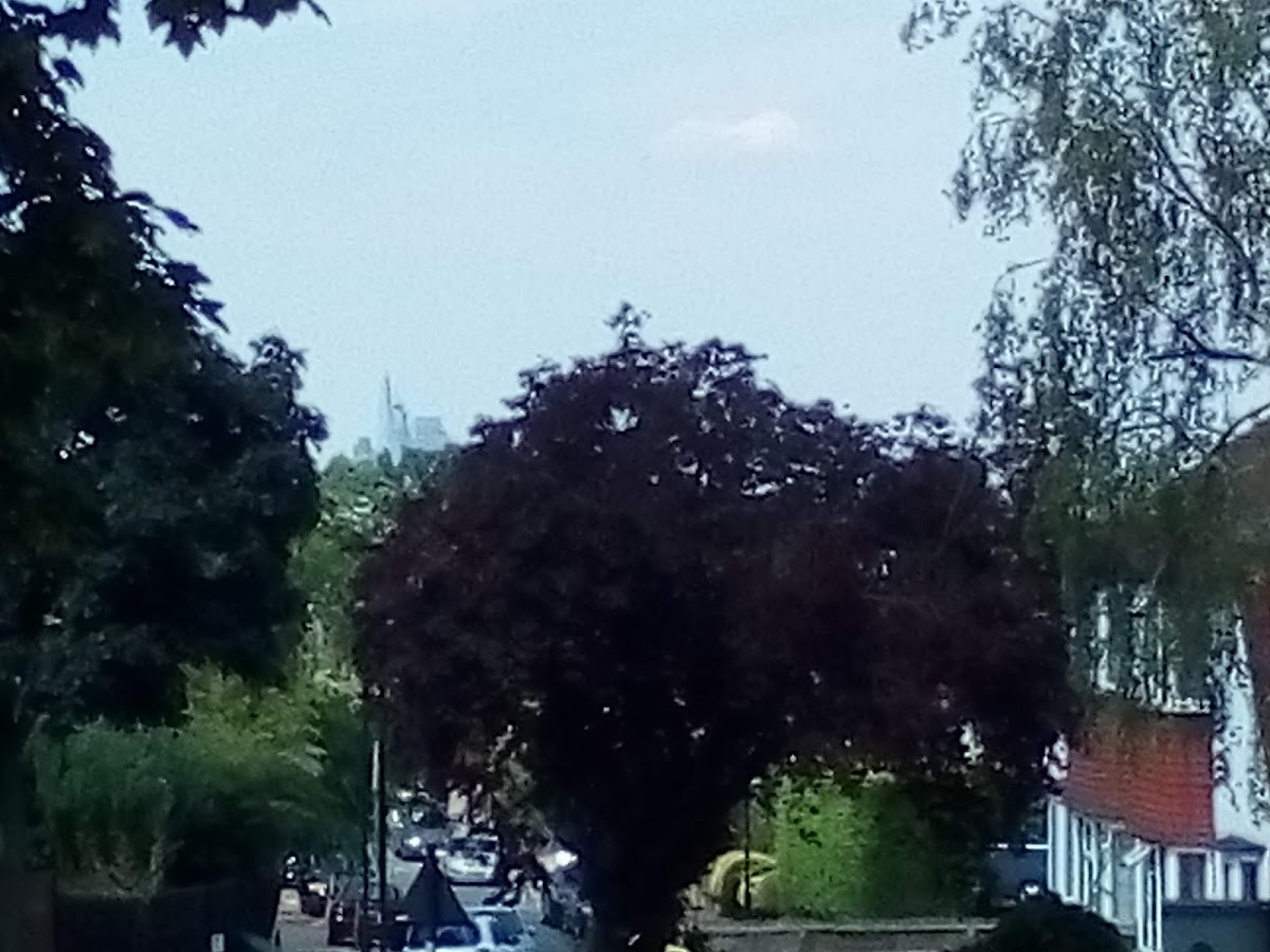 West Norwood Tennis & Squash Club - Photo 3