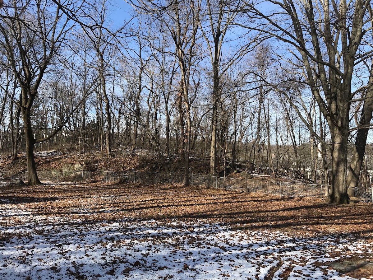 Western Greenwich Civic Center Park - Photo 2