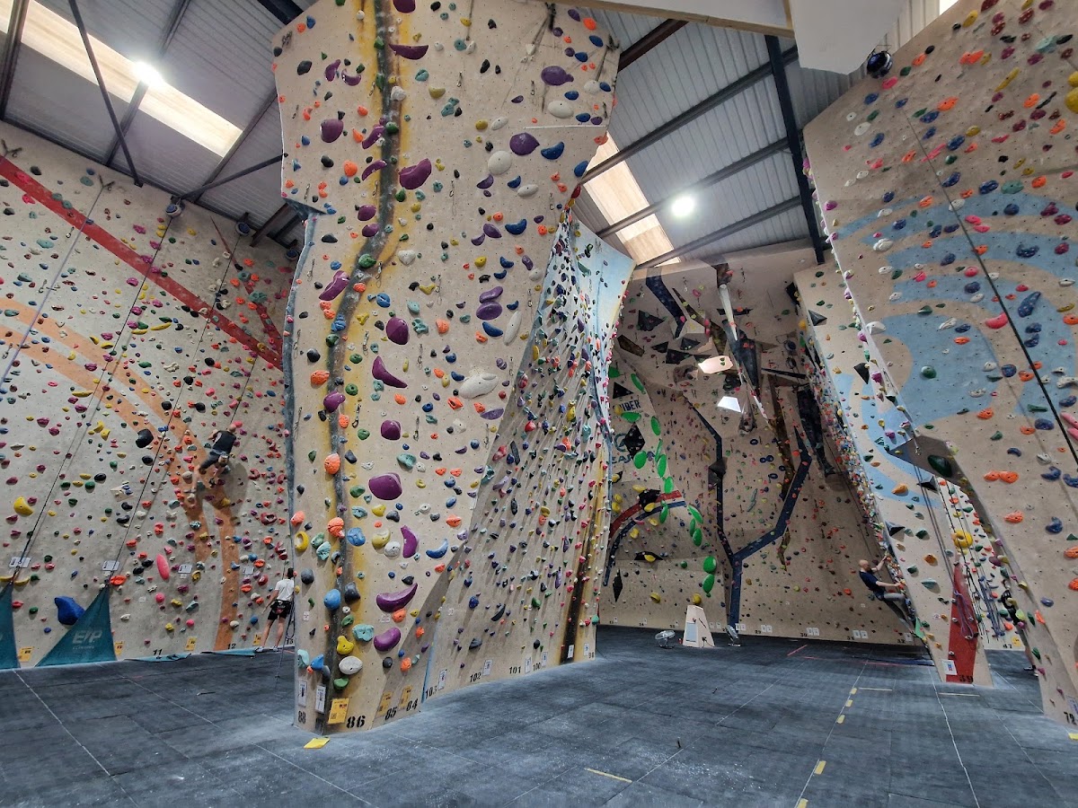 White Spider Climbing - Photo 2