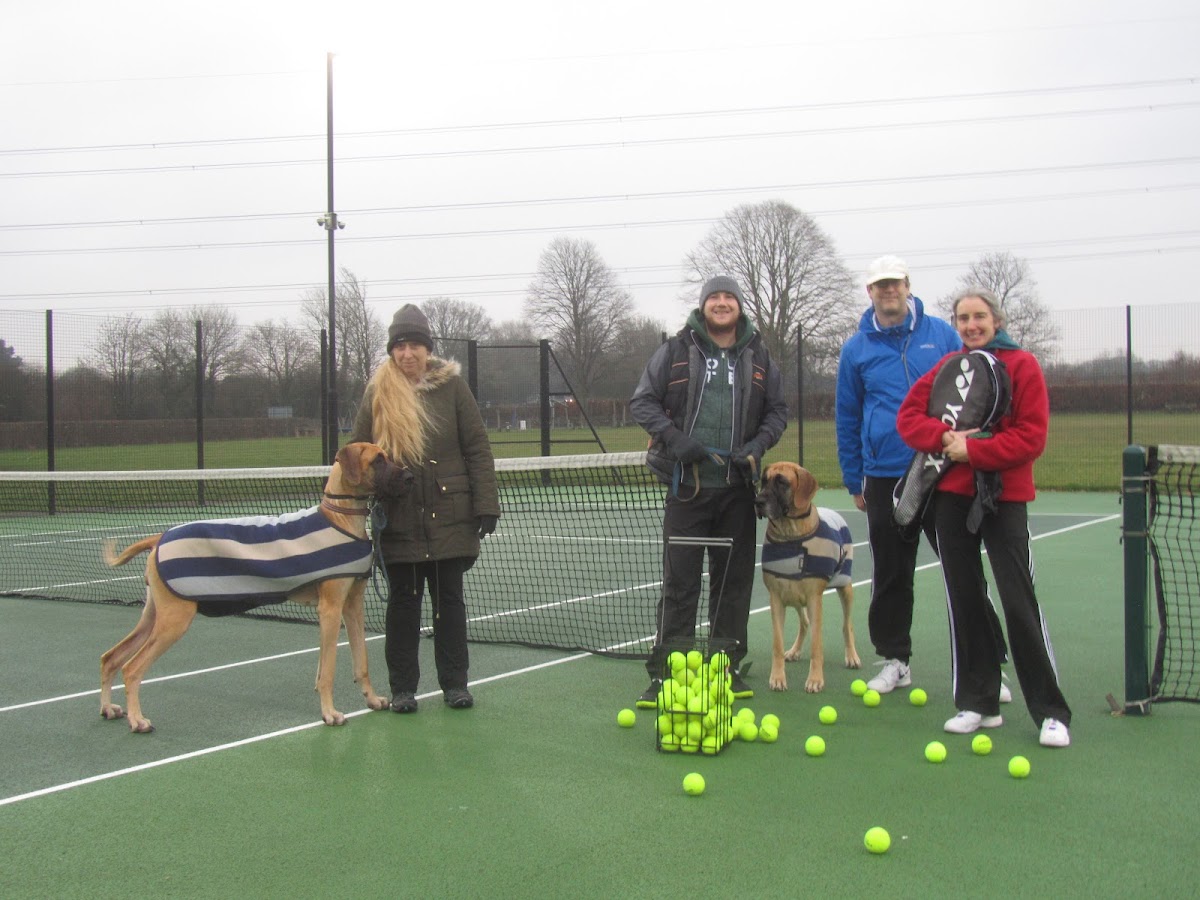 Wickham Community Tennis Club - Photo 2