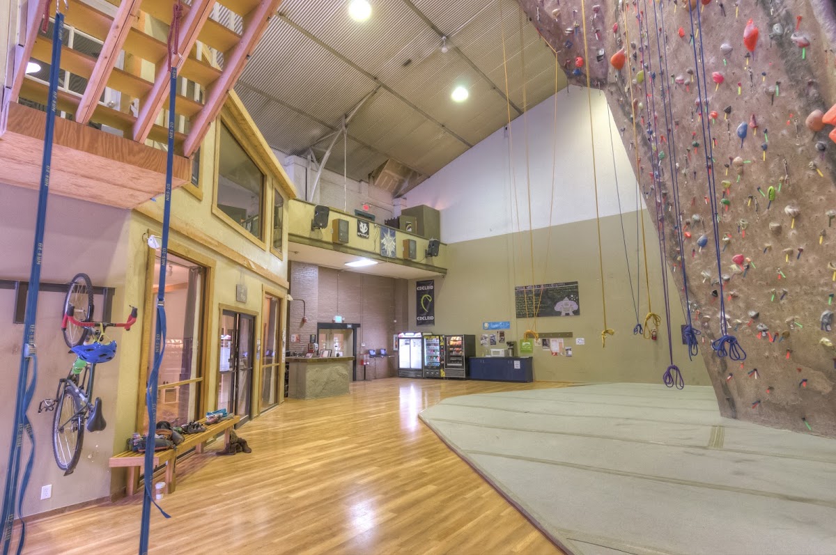 Wild Walls Climbing Gym - Photo 2