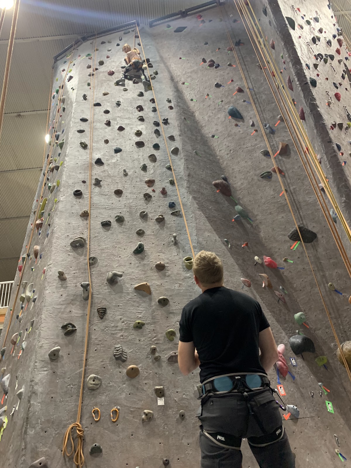 Wild Walls Climbing Gym - Photo 3