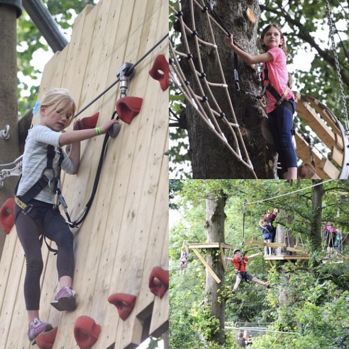 Wild Wood Adventure