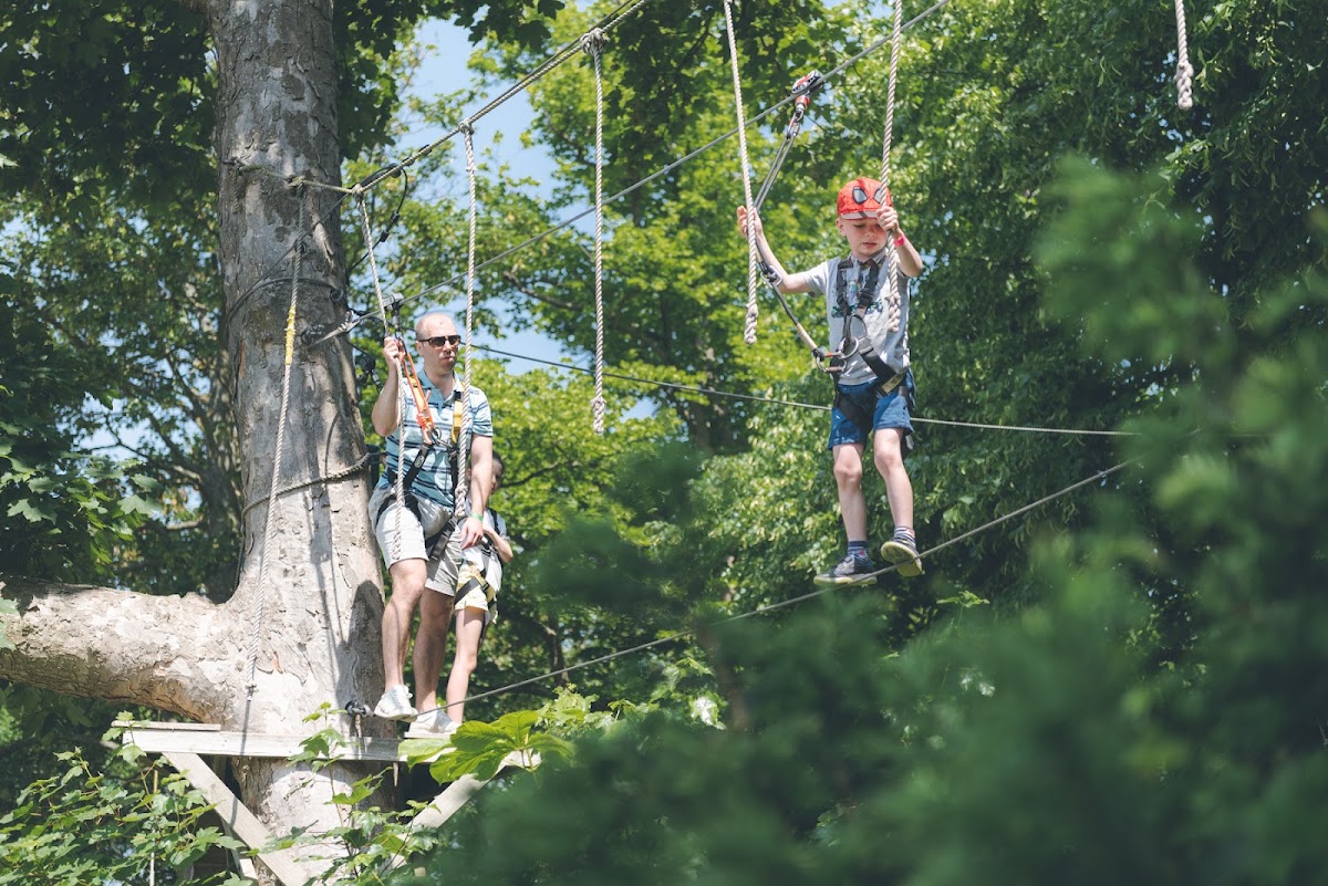 Wild Wood Adventure - Photo 2