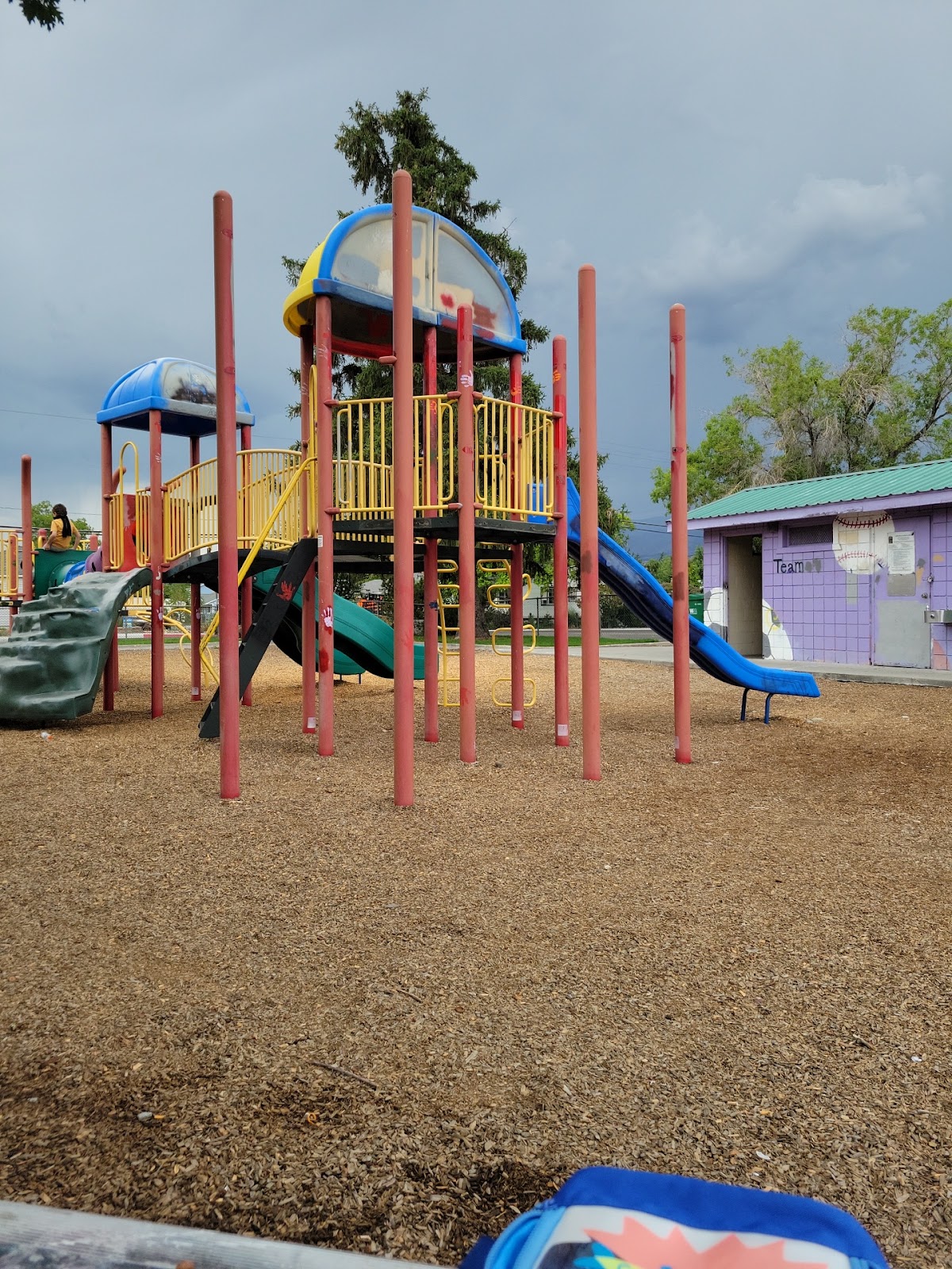Wilkinson Park - Photo 3