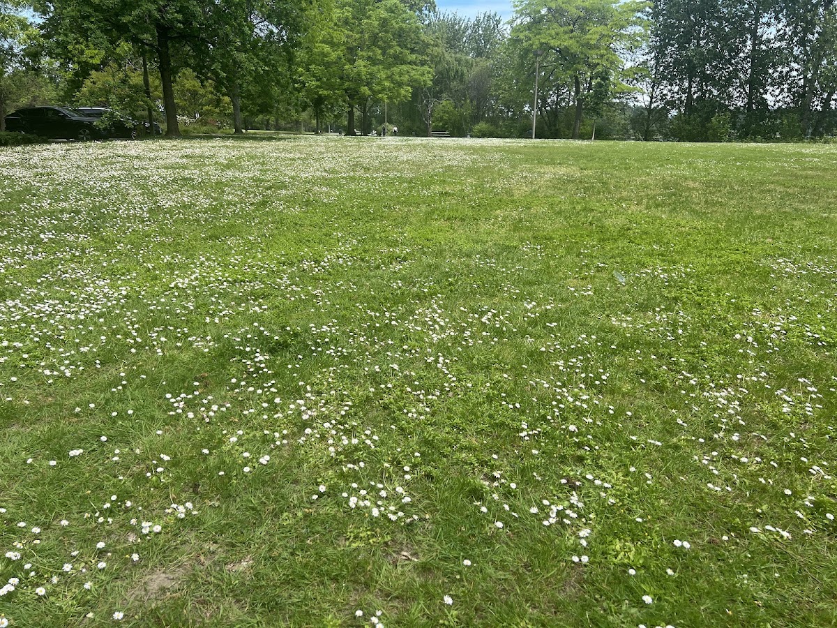 Willamette Park Tennis Courts - Photo 2