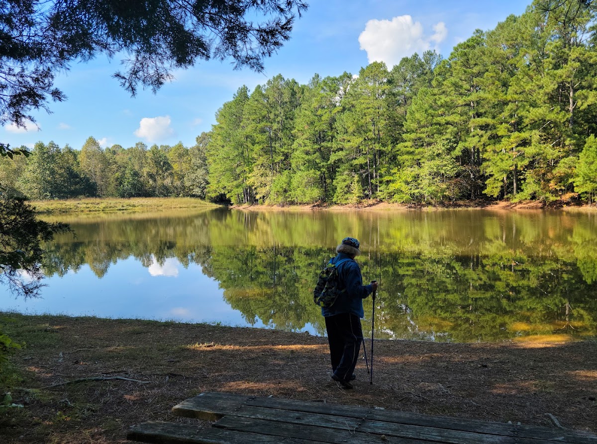 Williamson County Parks & Recreation - Photo 3