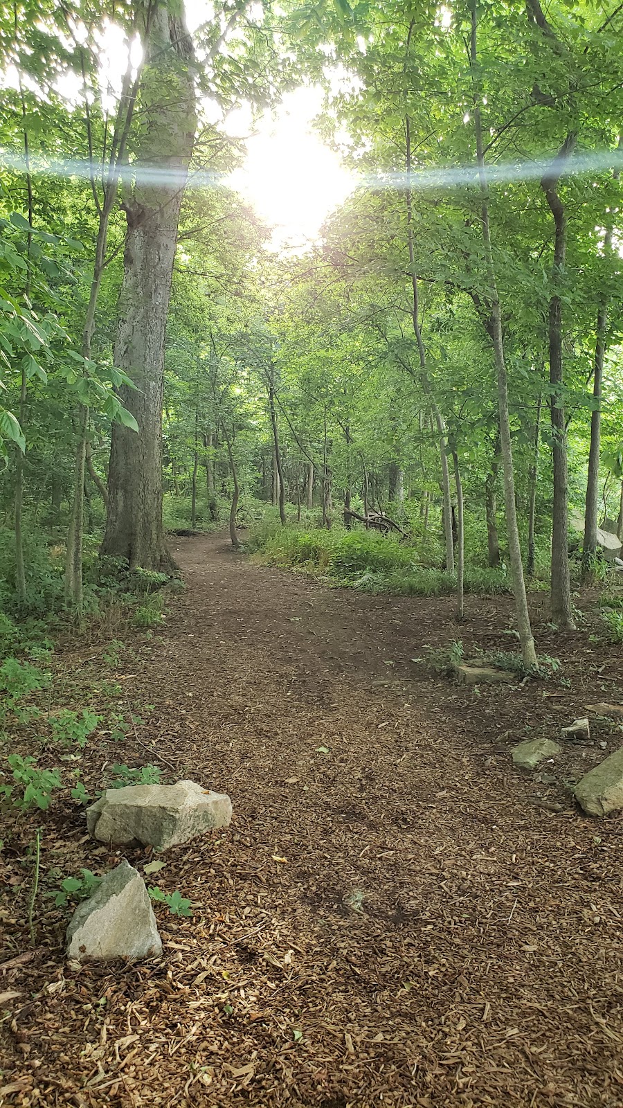 Willow Oaks Country Club - Photo 3