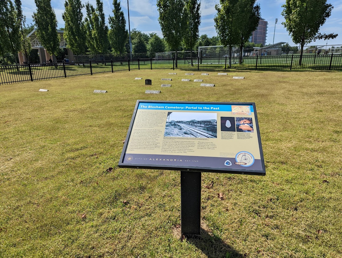 Witter Field - Photo 3