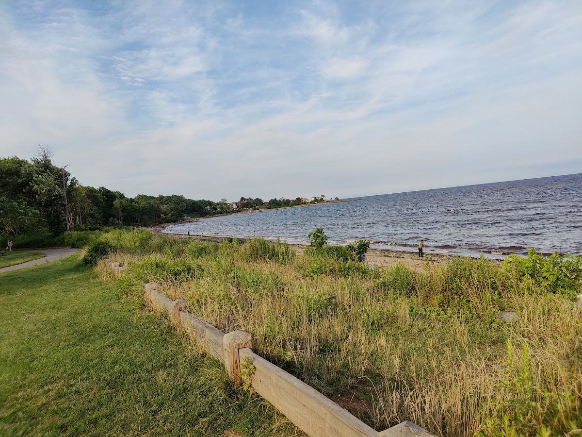 Wolfe's Pond Park Tennis Courts - Photo 3
