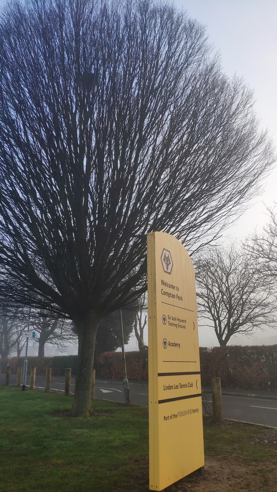 Wolves Academy - Photo 2