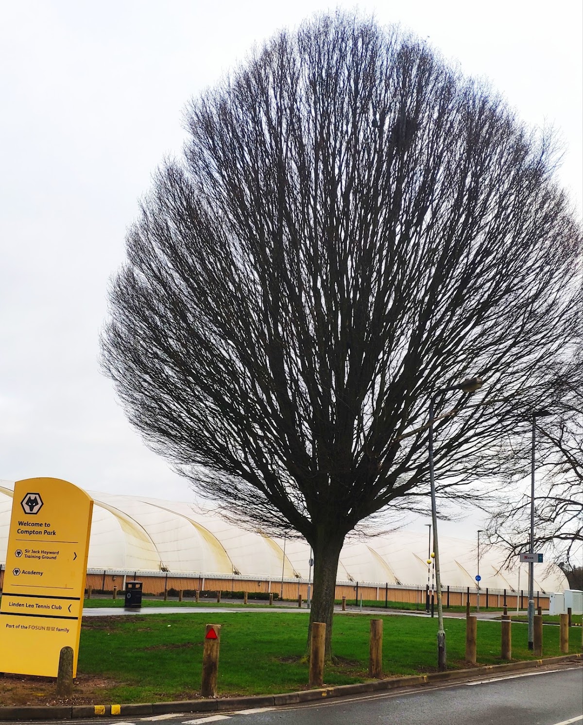 Wolves Academy - Photo 3