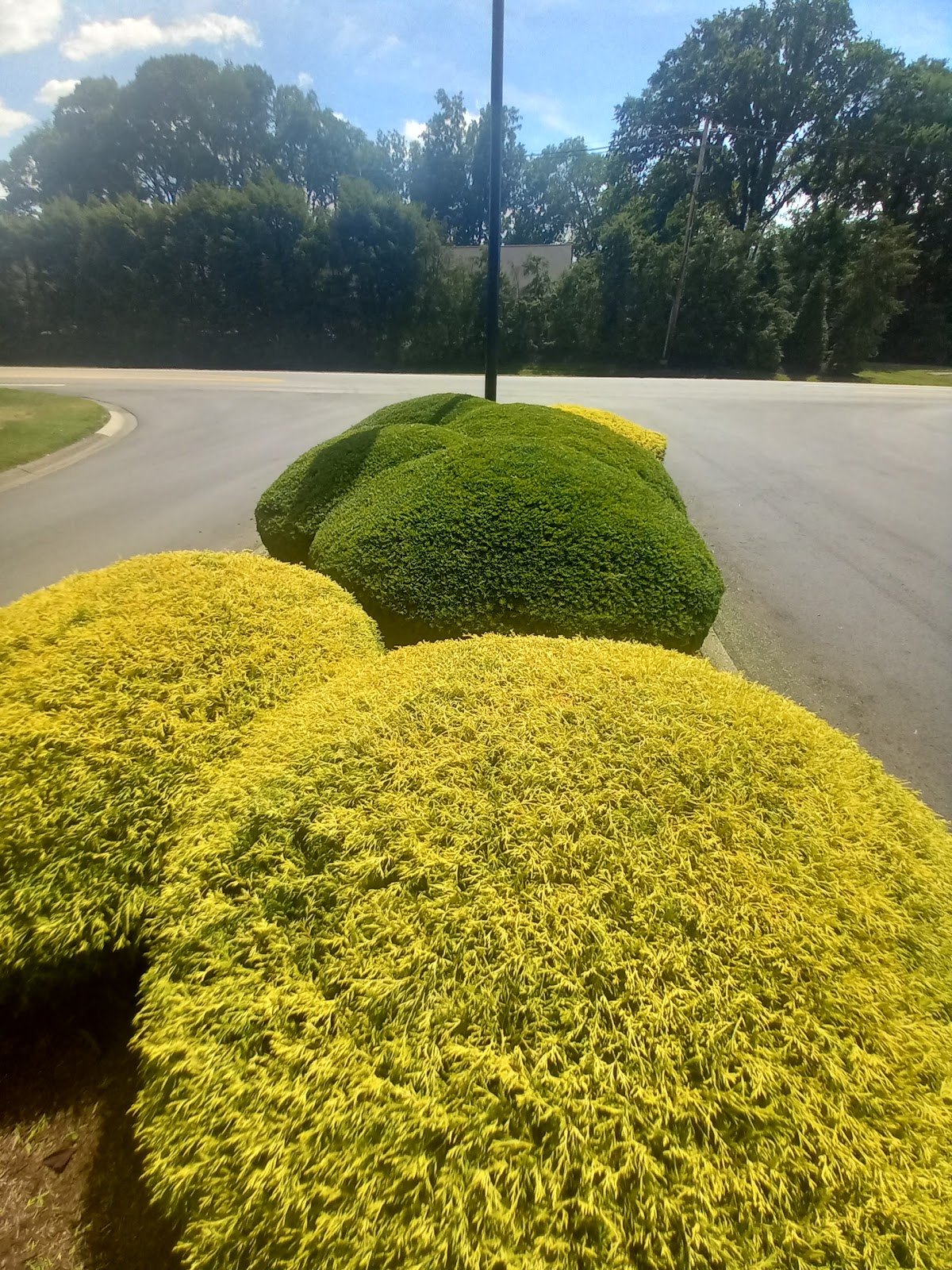 Woods of St Thomas Club - Photo 1