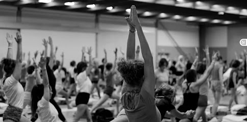 Yoga_Art de Vie Enseignement Yoga Iyengar® - Photo principale