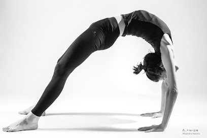 Yoga Ayurveda - Sphinx - Photo principale