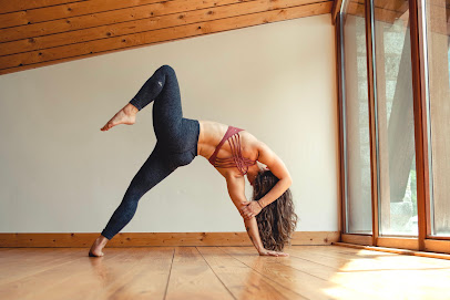 Yoga Vinyasa Lyon | Shiatsu & Médecine Chinoise Antique | Manon Charon Lyon 1er - Photo principale